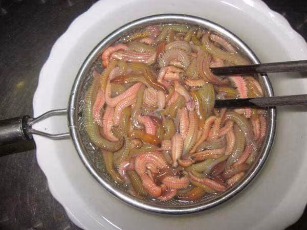 Nhìn hình thù khá đáng sợ, rươi vẫn hút khách vì chế biến ra những món ăn ngon.