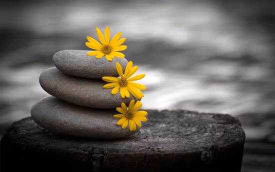 Song tren doi: Im lang la vang, nhan nai la bac, chiu thiet la phuc