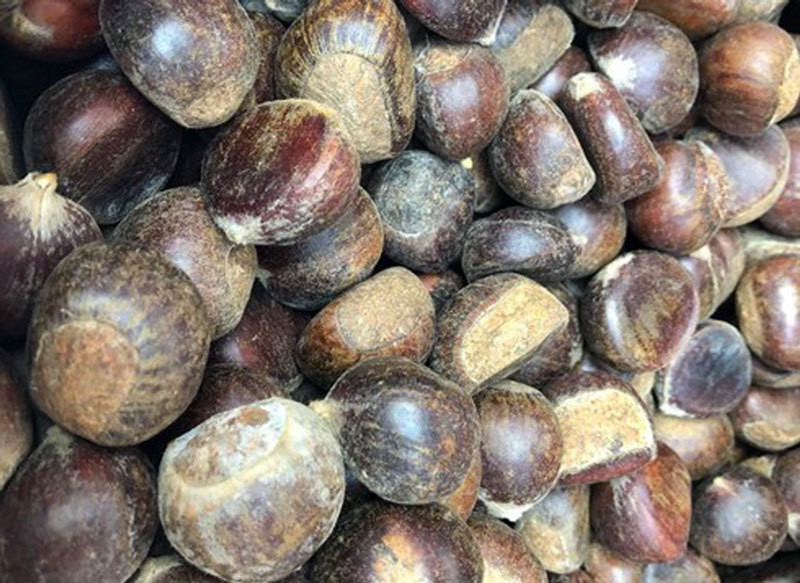 Dan ta lua dan minh, hang doc ben Tau ruoc ve hai nhau