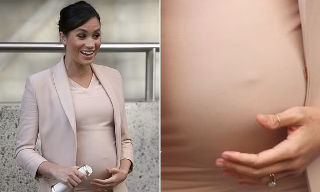 Ly do bat ngo dang sau nhung hanh dong cua Meghan-Hinh-2