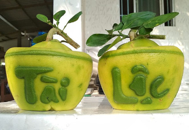 Nguoi Sai Gon no nuc san buoi ho lo, dua thoi vang gia bac trieu-Hinh-2