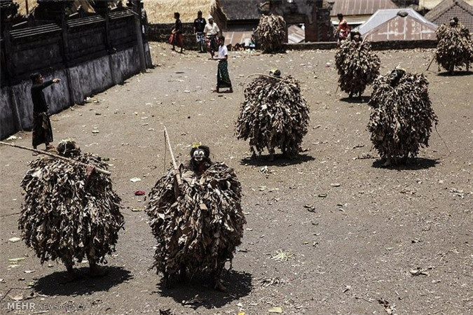 Thanh niên sẽ quấn lá chuối khô lên người, chạy quanh đền để tôn vinh linh vật truyền thống là sư tử Barong.
