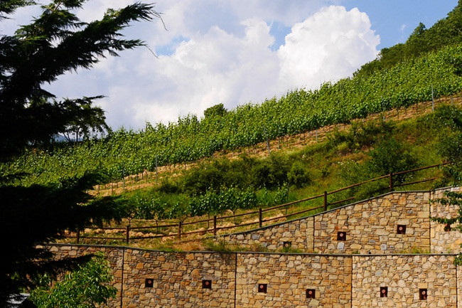 Mặc dù, Andorra không phải là thành viên của Liên minh châu Âu EU nhưng đồng Euro được sử dụng là đồng tiền chính thức.