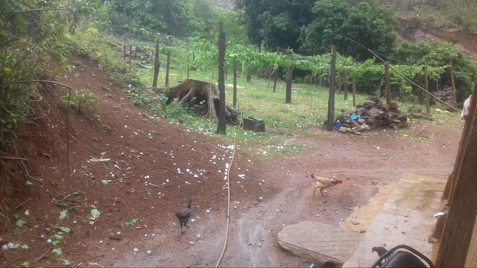 Anh: Mua da to nhu qua trung ga trut xuong nhieu noi o mien Bac-Hinh-3