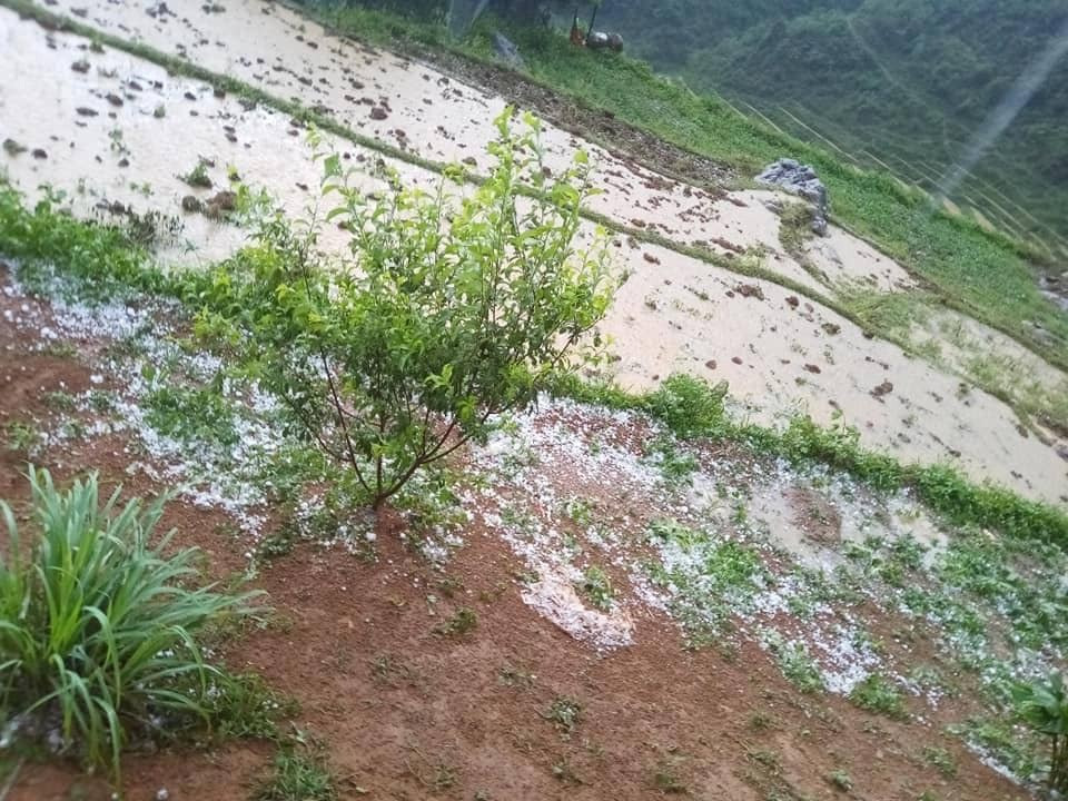 Anh: Mua da to nhu qua trung ga trut xuong nhieu noi o mien Bac-Hinh-2