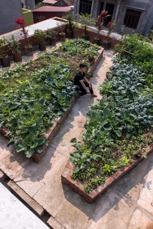 Không chỉ có kiến trúc độc đáo, ngôi nhà còn có cả khu vườn trên nóc được xử lý hệ thống chống thấm khéo léo.