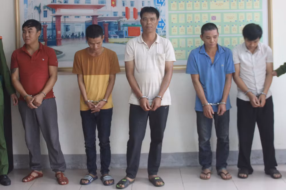 Bat doi tuong tron na, lay vo sinh con song an dat trong rung