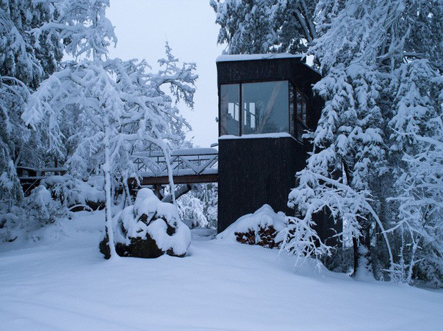 Đồ nội thất trong ngôi nhà cũng được sử dụng bằng gỗ tự nhiên, cụ thể là lót bằng gỗ Lingue bản địa và có sự pha trộn sắc màu chiết trung của đồ nội thất hiện đại và truyền thống được lựa chọn bởi chủ căn hộ.