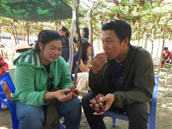 Chị Trương Ngọc Phụng đến từ (thị xã Thuận An, Bình Dương) cho biết thêm: “Qua lời giới thiệu, tôi đến đây trải nghiệm cùng với bạn bè. Tôi cảm thấy quả nho nhiều, cách tiếp khách của các nông dân nhã nhặn và luôn tạo điều kiện cho du khách khám phá. Vườn nho của các nông dân được chăm sóc rất chu đáo. Chính sự khác lạ này nên tôi lặn lội đến đây tham quan và ăn quả nho. Được đến Ninh Thuận, tôi cảm thấy thỏa mái, vừa ăn hải sản tươi sống, ngắm biển trong xanh và đặc biệt chụp ảnh cùng vườn nho”.