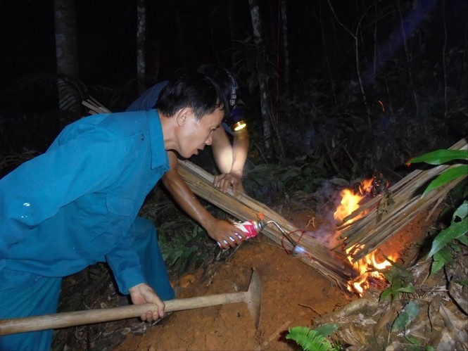 San loai ong kich doc: Tim kiem va phuc kich-Hinh-2