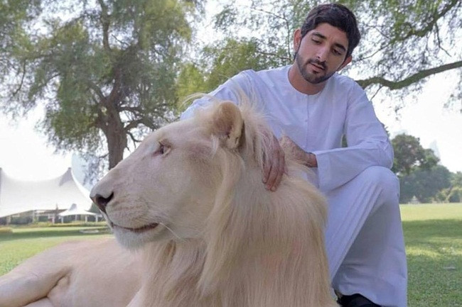 Trong một bài viết được đăng tải năm 2015 của tờ Time, quốc vương Dubai Sheikh Mohammed bin Rashid Al Maktoum là một trong 10 vương gia giàu có nhất hành tinh. Thái tử Sheikh Hamdan từng học tại Dubai, tiếp đó học ở Vương Quốc Anh và tốt nghiệp Học viện quân sự hoàng gia Sandhurst và theo học tại trường kinh tế London.