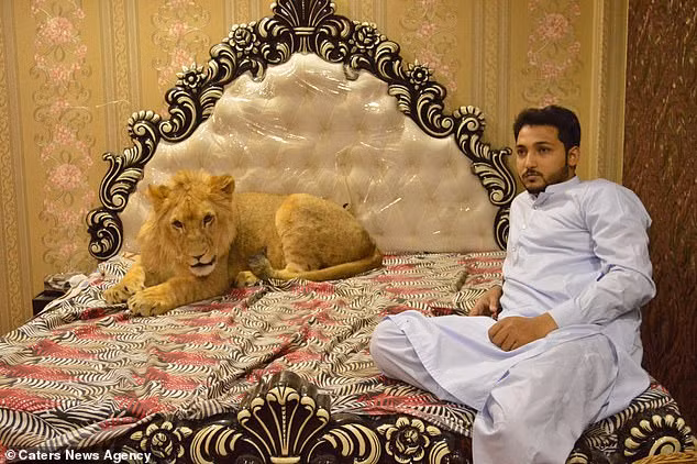 Dai gia Pakistan cho su tu nam dieu hoa, coi nhu con