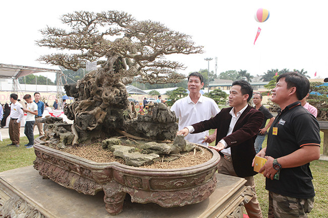 "Hơn 10 năm trước, tôi là một nhân viên của một công ty chuyên về giải khát, vì tình yêu quá lớn với cây cảnh tôi quyết định bỏ nghề chuyển sang làm cây từ đó đến nay", anh Dũng chia sẻ. Hình ảnh anh Dũng áo đen ngoài cùng bên phải. "Tôi mua cây sanh này cách đây gần 10 năm ở TP Thanh Hóa, thời điểm đó cây sanh này chỉ là một phôi (chưa có tay cành), thân rất già mang dáng trực. Khi mang cây về, tôi nhận thấy có thể chuyển từ dáng trực sang dáng hoành cây sẽ đẹp hơn", anh Dũng cho biết thêm.