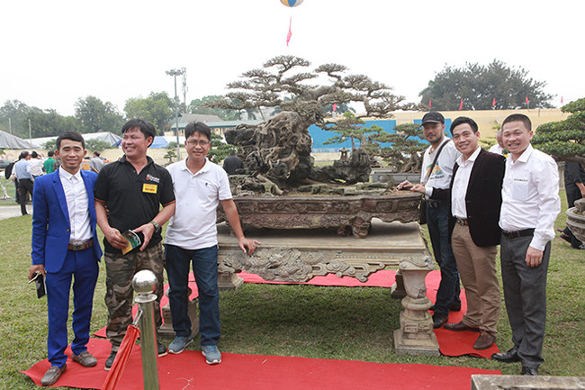 Hầu hết người có đam mê cây cảnh đều thích tác phẩm này, họ dừng chân chụp một tấm hình làm kỷ niệm với chủ nhân của tác phẩm.