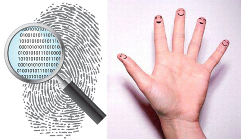 Hoa tay noi len dieu gi ve nghe nghiep va tinh cach cua ban?