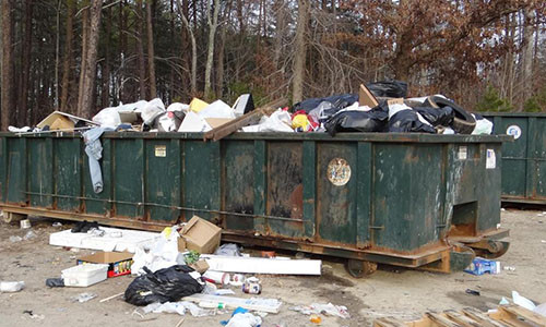 Phat hien kinh hoang trong thung rac o My