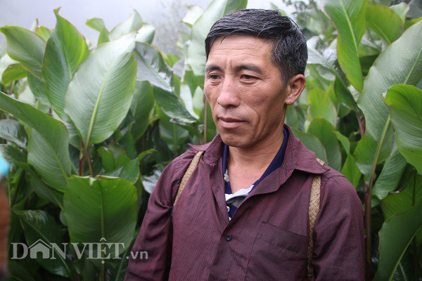 'Vua' tao meo giau bat ngo, biet thu to tren nui, moi nam thu tien ty-Hinh-3