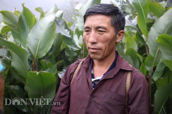 'Vua' tao meo giau bat ngo, biet thu to tren nui, moi nam thu tien ty-Hinh-3