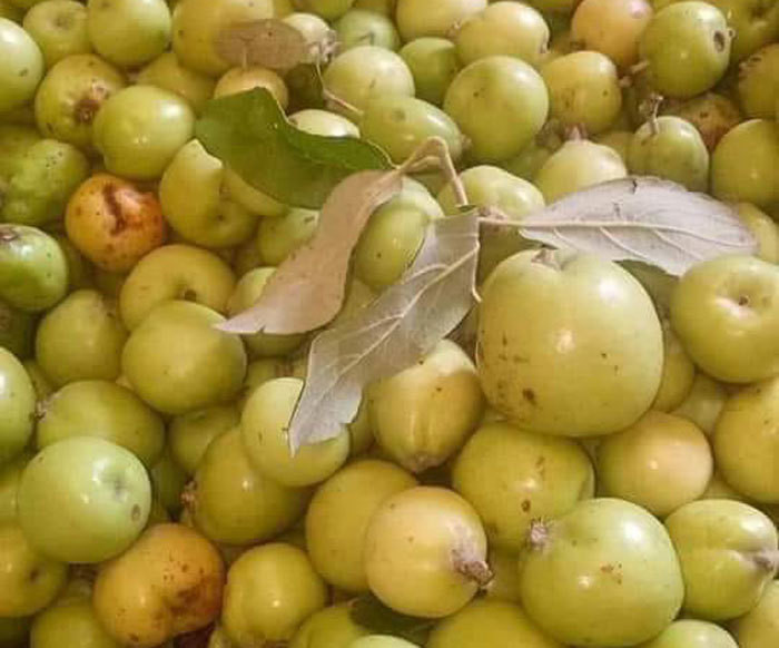 'Vua' tao meo giau bat ngo, biet thu to tren nui, moi nam thu tien ty-Hinh-2