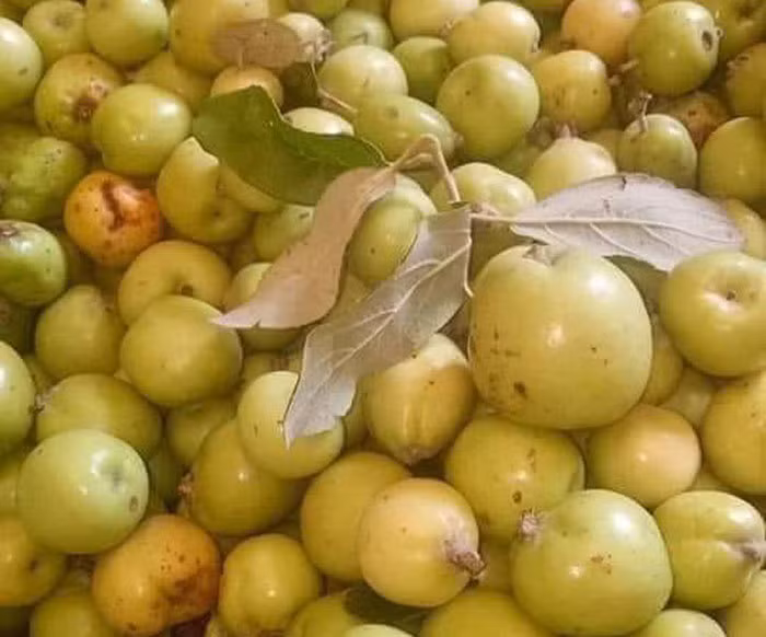 'Vua' tao meo giau bat ngo, biet thu to tren nui, moi nam thu tien ty-Hinh-2