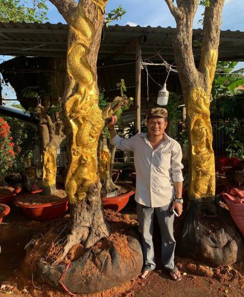 Chủ nhà vườn ở Q. Cái Răng, TP. Cần Thơ dát vàng lên cây đang sống. (Ảnh VietnamNet)