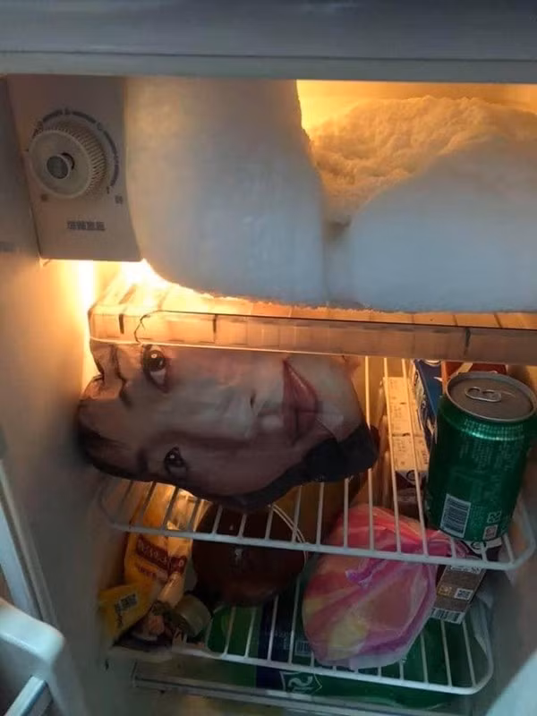 Mo tu lanh, chong duoc phen giat minh hoang hot vi thay vat nay