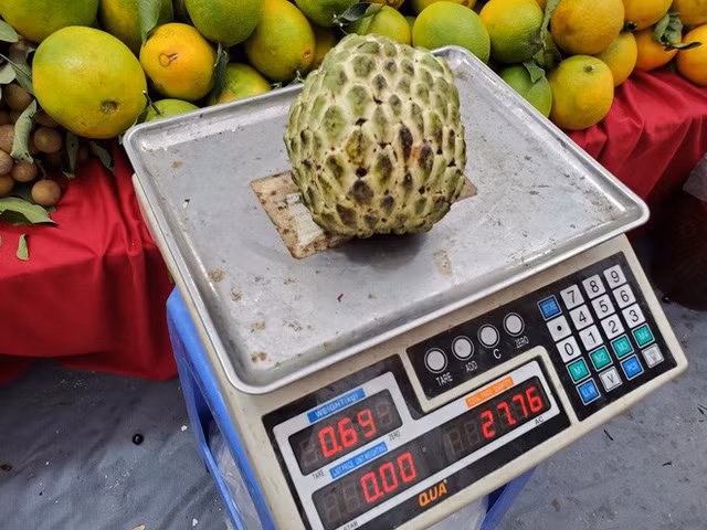 Na khong lo do bo Ha Noi, 200.000 dong/qua van co mua nem thu-Hinh-2