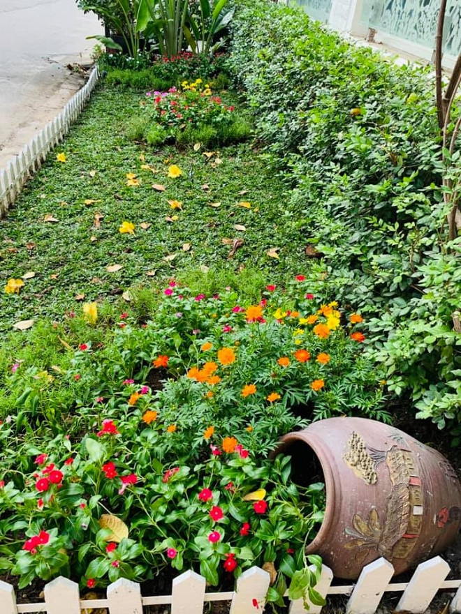 Toàn bộ khung cảnh ngập tràn hoa lá từ ngoài vườn cho đến trong nhà khiến dân mạng trầm trồ. Cuộc sống trong mơ của nữ ca sĩ sinh năm 1985 quả thật đáng để ghen tỵ và ngưỡng mộ.