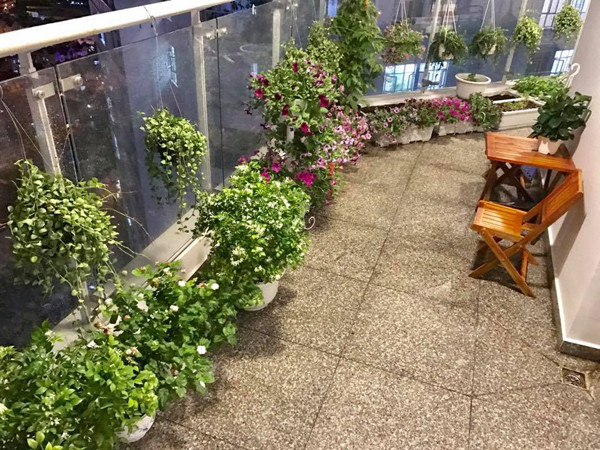 Yêu hoa nên chị còn hay sưu tầm hình ảnh nhà vườn và ban công rợp sắc hoa trong điện thoại để ngắm mỗi khi rảnh. Bà mẹ nổi tiếng muốn sau này sẽ về quê sống để thỏa thích trồng rau, cây ăn trái, và các loại hoa yêu thích quanh nhà.