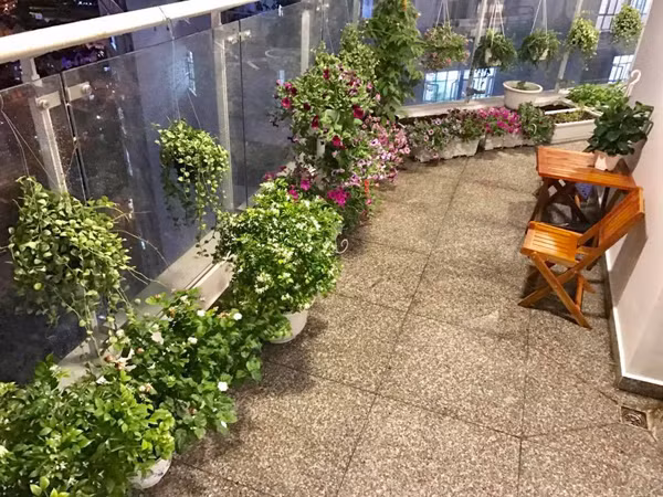 Yêu hoa nên chị còn hay sưu tầm hình ảnh nhà vườn và ban công rợp sắc hoa trong điện thoại để ngắm mỗi khi rảnh. Bà mẹ nổi tiếng muốn sau này sẽ về quê sống để thỏa thích trồng rau, cây ăn trái, và các loại hoa yêu thích quanh nhà.