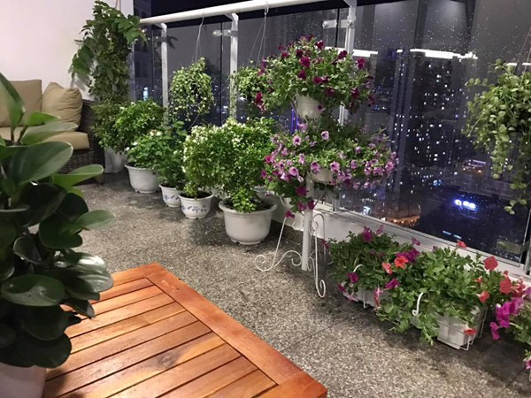 Thân Thúy Hà cho biết, chị mê những ngôi nhà có hoa đẹp nên cũng muốn trang trí một góc riêng cho gia đình ngồi thư giãn cũng như sinh hoạt.