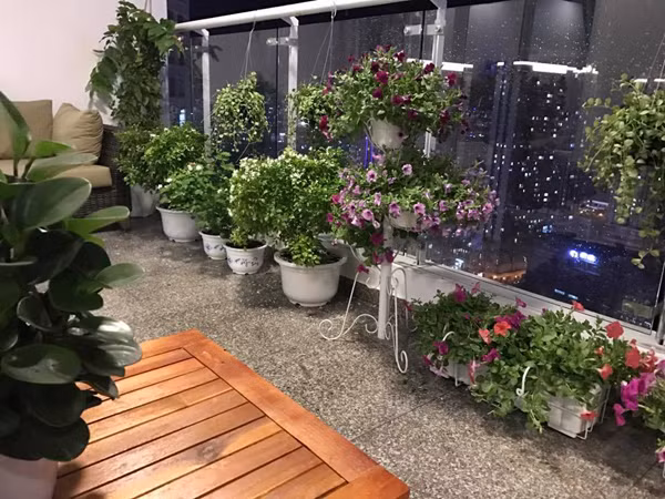 Thân Thúy Hà cho biết, chị mê những ngôi nhà có hoa đẹp nên cũng muốn trang trí một góc riêng cho gia đình ngồi thư giãn cũng như sinh hoạt.