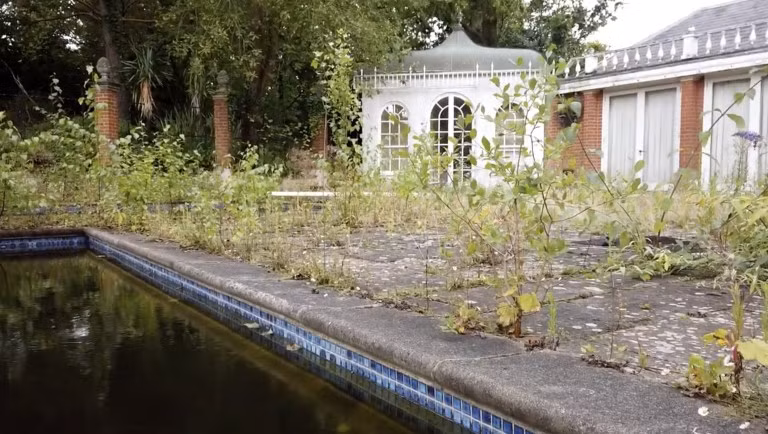 Nhiều bể bơi đã chuyển sang màu nâu xanh và bao quanh bởi cỏ dại. (Ảnh: Beyond the Point / News Dog Media)