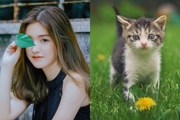 Đến khi nhận ra chân tướng và hiểu rõ lòng dạ đối phương thì họ đã mất rất nhiều tài sản.