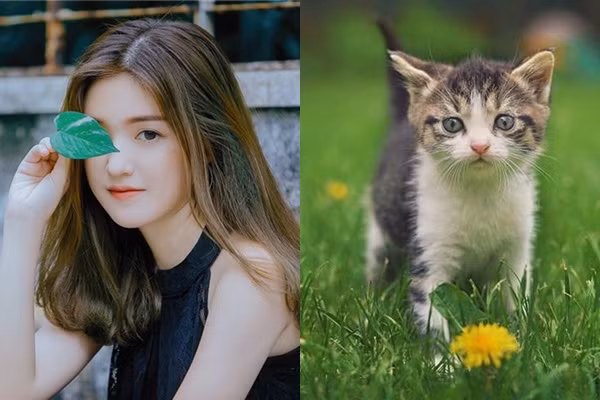 Đến khi nhận ra chân tướng và hiểu rõ lòng dạ đối phương thì họ đã mất rất nhiều tài sản.