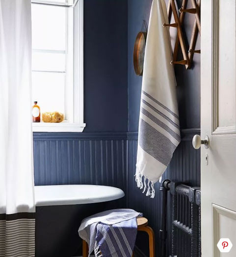 Hoa giai phong thuy cho phong tam nho the nao cho chuan?