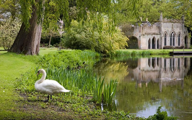 Tàn tích nhà vườn mang kiến trúc Gothic được thiết kế bởi James Wyatt và phòng trà của Nữ hoàng Victoria vẫn còn tồn tại. Ảnh: Royal Windsor.