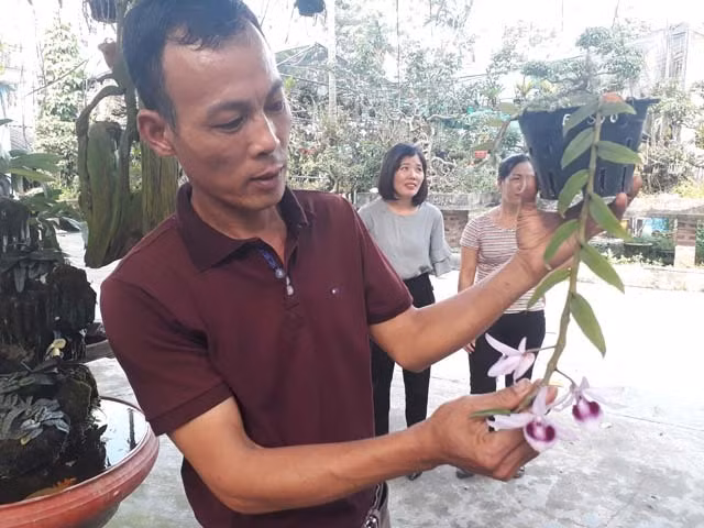 Mau phong lan 1 cm gia 9 trieu: Sieu la o Thai Nguyen