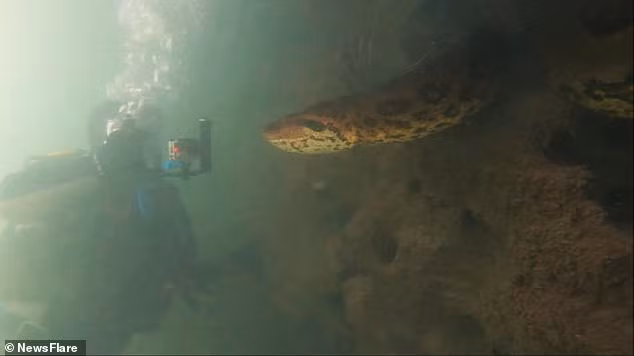 Kinh hoang canh tho lan cham mat loai tran lon nhat the gioi duoi nuoc-Hinh-2