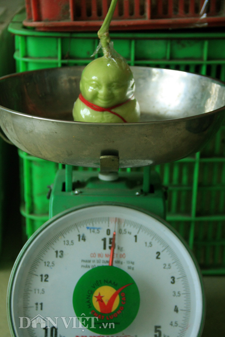 Những thông tin về quả dưa lê Thần tài đang gây sốt tại thị trường Việt Nam những ngày Tết được chính người bán tiết lộ ra khiến không ít người phải rùng mình. Nhiều người cho rằng, không nên mua các loại quả có xuất xứ từ Trung Quốc, đặc biệt là những loại quả có hình thù kỳ dị bởi chắc chắn khi trồng, người trồng sẽ dùng đủ các loại thuốc từ kích thích cho đến bảo quản thì quả mới có hình dáng đẹp vậy.