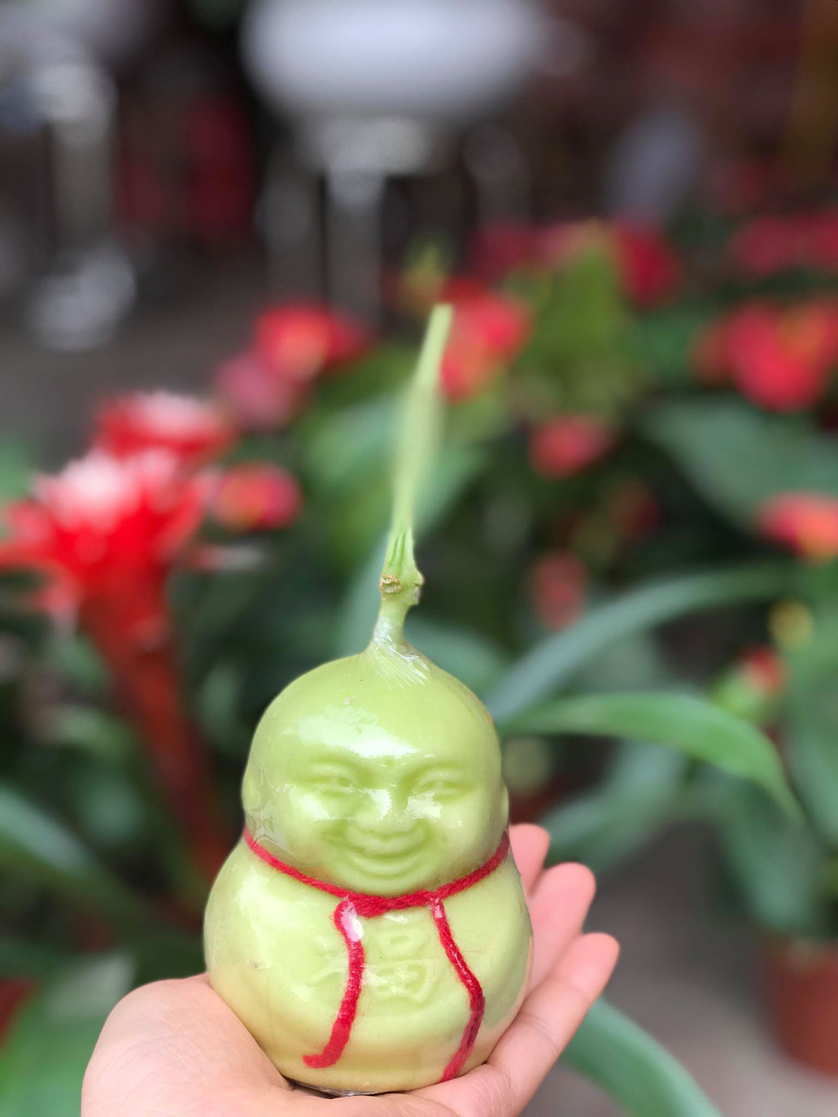 Được biết, dưa lê Thần tài được bày bán lần đầu tiên ở Hà Nội vào năm 2015. Khi ấy, loại dưa có hình dáng hết sức bắt mắt này được bày bán và trở thành mặt hàng hot vào dịp rằm tháng 7, Tết Nguyên đán. Giá bán thời điểm đó cũng khá đắt, thường trên 150.000 đồng/cặp. Sang đến năm nay, loại quả này vẫn là cực kỳ hút khách. Các mối buôn nhỏ lẻ đang đua nhau đặt để bán vào dịp Tết Nguyên đán sắp tới, song, giá đã rẻ hơn gấp nhiều lần.