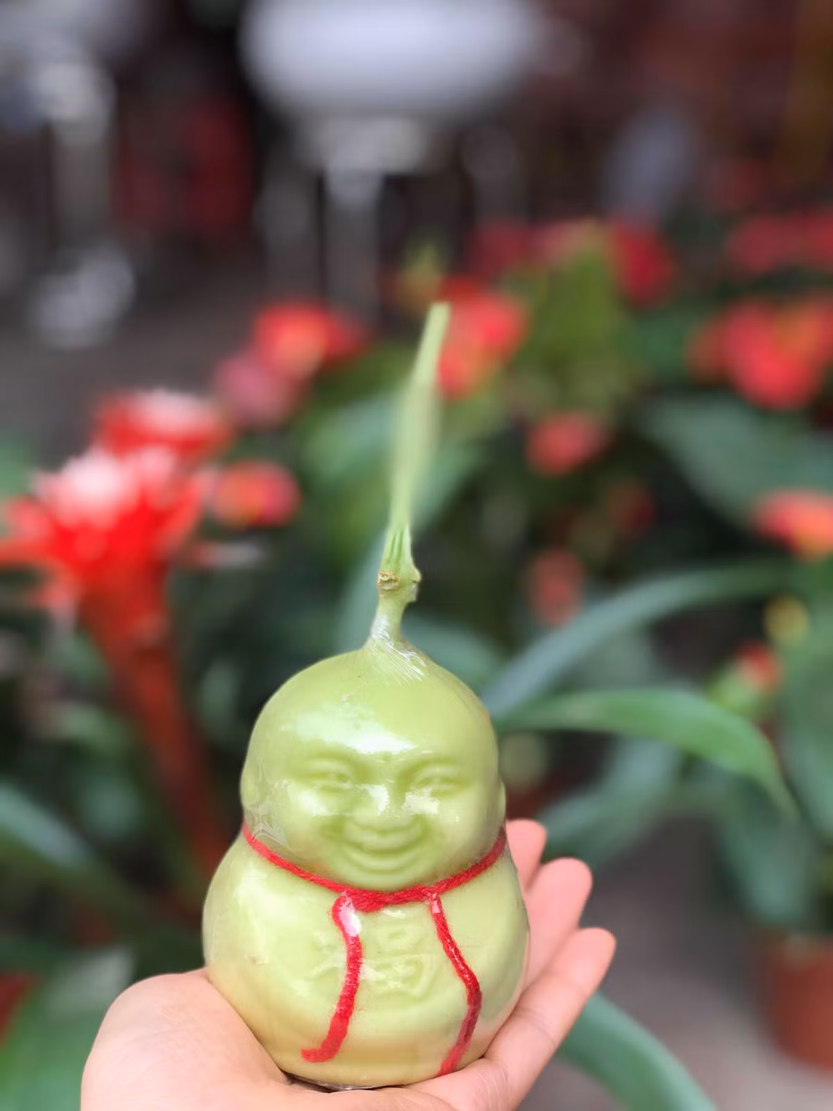 Được biết, dưa lê Thần tài được bày bán lần đầu tiên ở Hà Nội vào năm 2015. Khi ấy, loại dưa có hình dáng hết sức bắt mắt này được bày bán và trở thành mặt hàng hot vào dịp rằm tháng 7, Tết Nguyên đán. Giá bán thời điểm đó cũng khá đắt, thường trên 150.000 đồng/cặp. Sang đến năm nay, loại quả này vẫn là cực kỳ hút khách. Các mối buôn nhỏ lẻ đang đua nhau đặt để bán vào dịp Tết Nguyên đán sắp tới, song, giá đã rẻ hơn gấp nhiều lần.