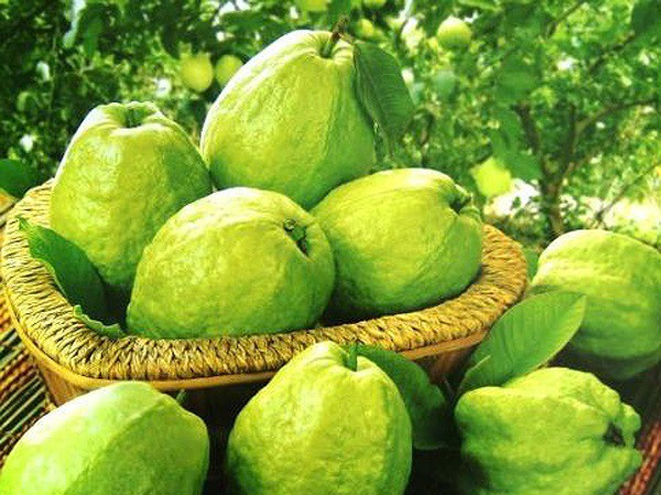 Mac nhung benh nay co them den may cung khong duoc an oi