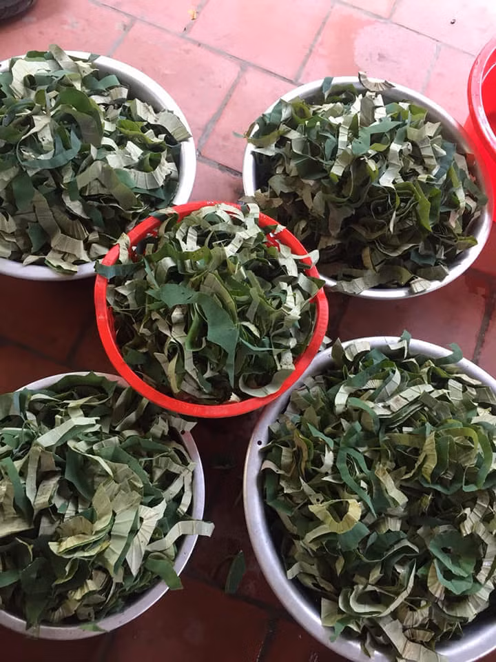 Loai la moc tran ao bun Viet Nam, 400 ngan/kg, chi em van chuong mua-Hinh-2