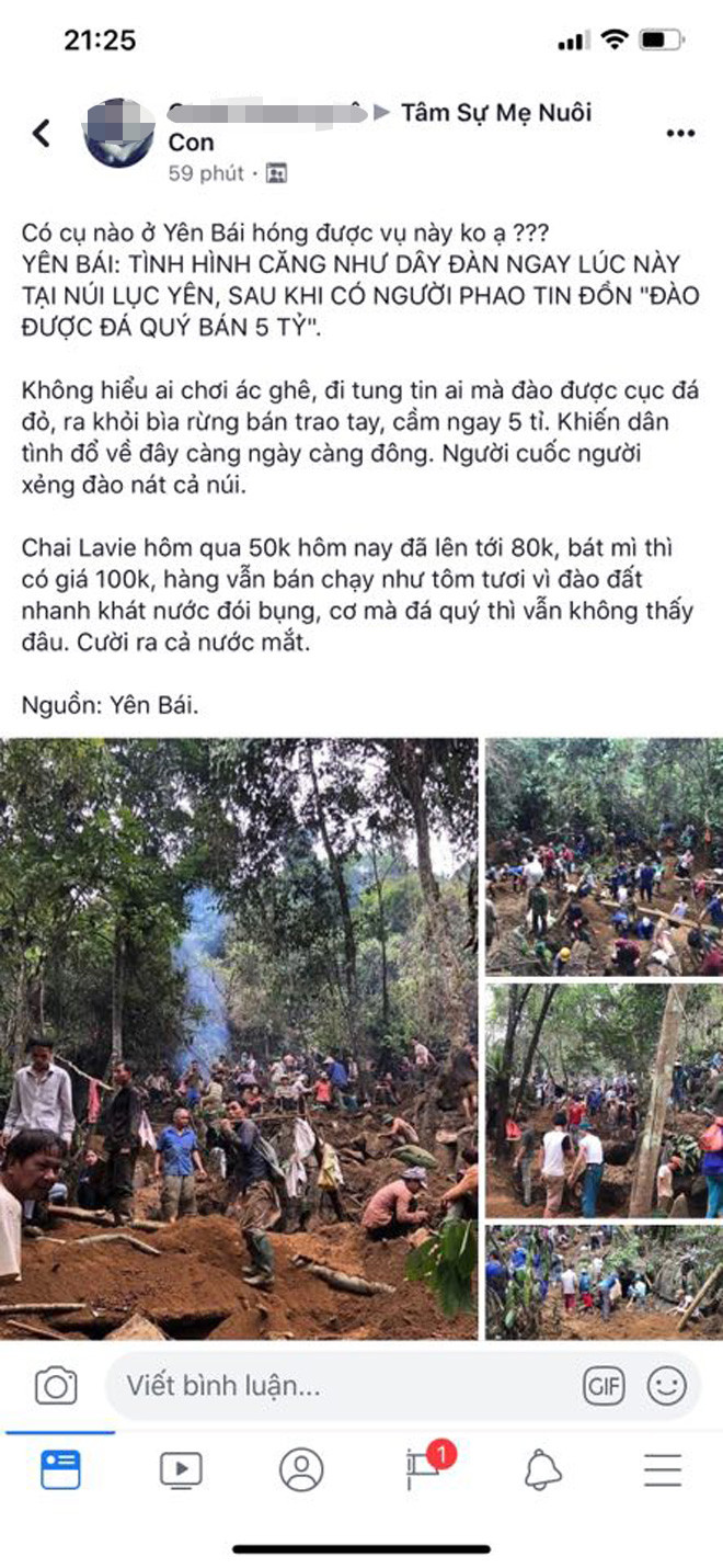 Thuc hu len rung tim da quy bi “chat chem” bat my tom 100 nghin-Hinh-2