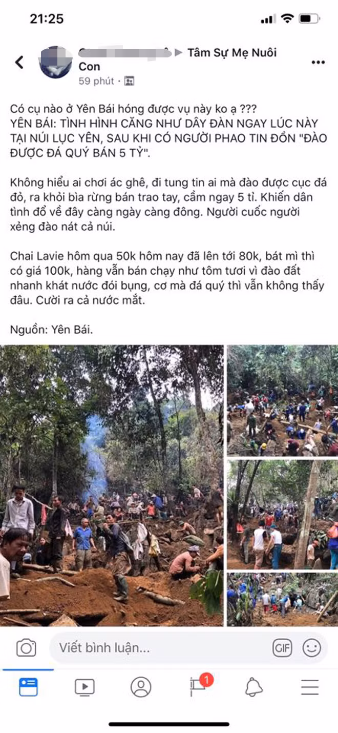 Thuc hu len rung tim da quy bi “chat chem” bat my tom 100 nghin-Hinh-2