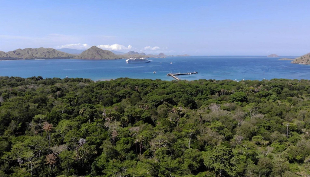 Hiện lượng khách du lịch tới vườn quốc gia Komodo để chiêm ngưỡng loài rồng đã tăng mạnh, từ 44.000 lượt khách năm 2008 lên tới 176.000 người vào năm ngoái. Ông Laiskodat muốn đóng cửa vườn quốc gia hoàn toàn trong năm 2020 và sau đó hạn chế số lượng khách du lịch bằng cách tăng giá vé. Ảnh: AFP.