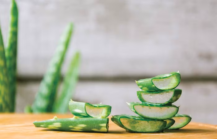 Nha đam có đặc tính chống oxy hóa, chống viêm, chữa bệnh và giữ ẩm nên sau khi đắp mặt nạ bằng nha đam làn da của bạn không chỉ được dưỡng ẩm mà còn sáng và rạng rỡ.