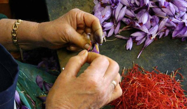 11. Nghệ tây Absheron, Absheron, Azerbaijan Không chỉ là một loại gia vị kỳ lạ, nghệ tây còn được biết đến với giá trị dược liệu, chất lượng chữa bệnh và đặc tính kích thích tình dục của nó. Loại nghệ tây tốt nhất được sản xuất tại Azerbaijan - một trong những trung tâm nghệ tây lâu đời nhất trên thế giới. Người ta thống kê rằng Azerbaijan có thể thu được hơn 142,6 triệu đô la Mỹ mỗi năm từ sản xuất nghệ tây công nghiệp. Hơn 75.000 bông hoa mới tạo ra được 0,5kg nghệ tây khô. Loại cao cấp hàng đầu có giá gần 11.000 đôla mỗi kg.