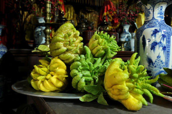 Loai qua se giup gia chu thu hut may man, thinh vuong